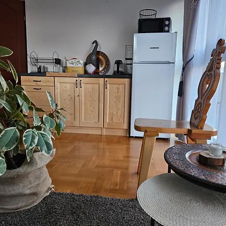 Apartment Przy Gorskim Potoku *
